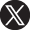 x-icon