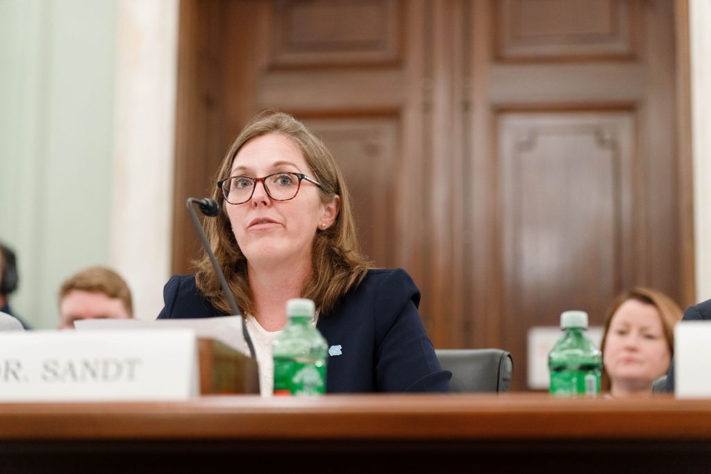 Laura Sandt testifies before Senate committee.